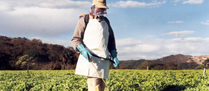 /11563agrotoxico.jpg