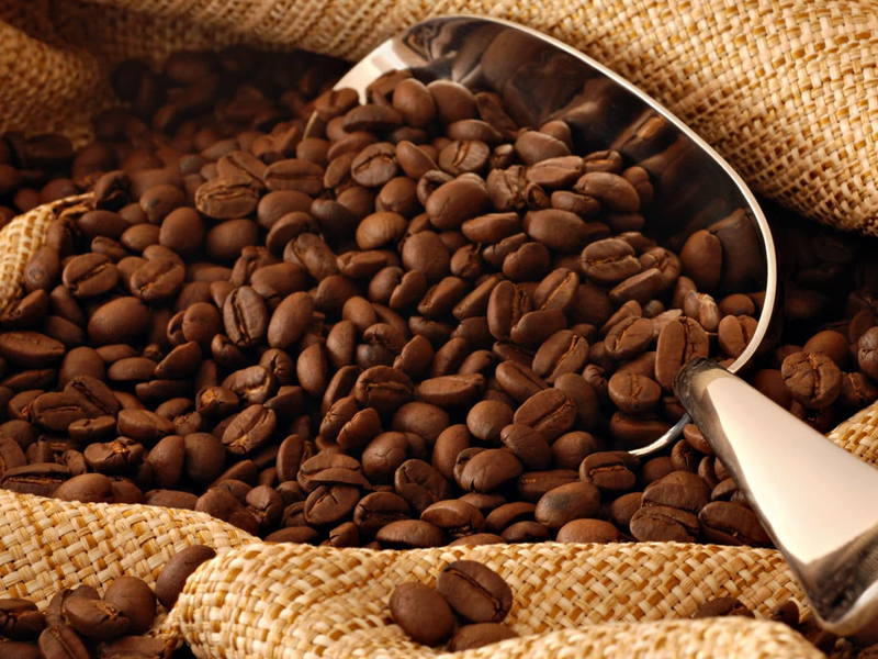 /17775agro0801_cafe-arabica.jpg