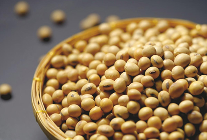 /20520imagem-soja.jpg