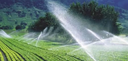/9099irrigacao.jpg