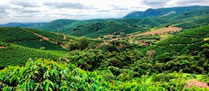 /9369montanhascafeeiras_p.jpg