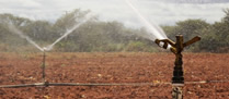 /9543irrigacao_p.jpg